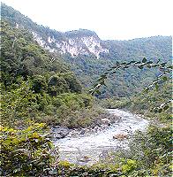 black rock lodge belize