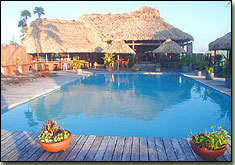 captain morgan's retreat, san pedro, ambergris caye, belize, pool