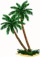 Tropical Treasures Tour to Belize and Guatemala combines 
the beauties of the inland of Belize with fantastic scuba diving on the Belize Barrier Reef