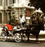 enjoy a horse-drawn carriage ride through the wide boulevards of Merida, Yucatan Peninsula