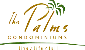 belize, Belize travel, Belize tourism, Belize hotels, Ambergris Caye hotels, hotel, palms, ambergris caye,lodging,condominium,condominiums,hotel,the palms,the palms,the palms,the palms,san pedro hotel,palms,palms,palms,lodging,condominiums,condos, ambergriscaye,ambergris caye,caribbean,belize,hotel,palms,ambergris caye